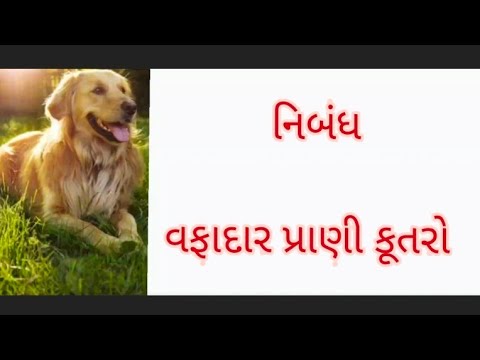 essay on dog in gujarati