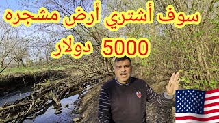 سوف أشتري أرض مشجره في امريكا بسعر 5000 الاف دولار screenshot 5