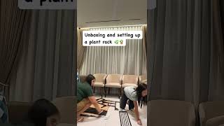 Plant Rack Unboxing And Setting Up.