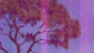 100_0689.mov