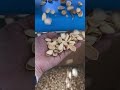 AMD MuItiS6 Pistachios Multi-point Multi-select sorting/sortex/sorter Machine