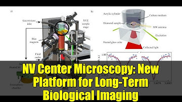 NV Center Microscopy: New Platform for Long-Term Biological Imaging