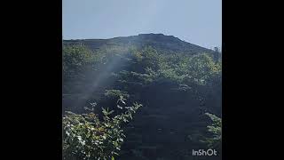 A little of Old Bridle Path and Falling Waters trails on Franconia Ridge