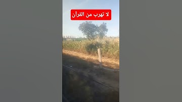 تلاوة خاشعة ومؤثرة جدا للشيخ ماهر المعيقلي #قرآن #الشيخ_ماهر_المعيقلي #قران_كريم #nature #اكسبلور #s