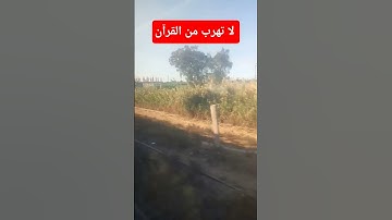 تلاوة خاشعة ومؤثرة جدا للشيخ ماهر المعيقلي #قرآن #الشيخ_ماهر_المعيقلي #قران_كريم #nature #اكسبلور #s
