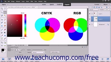 Photoshop Elements 2018 Tutorial Saving and Loading Selections Adobe Training