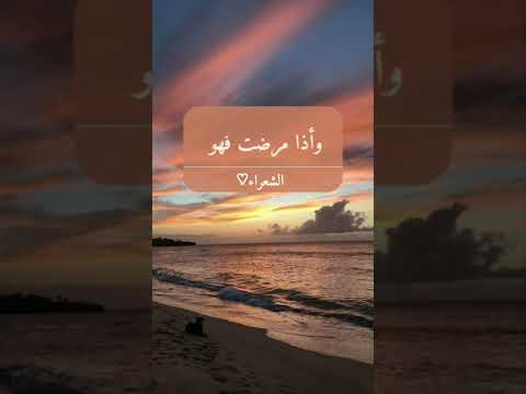 وأذا مرضت فهو يشفين الشيخ محمد هشام حسن سورة الشعراء 