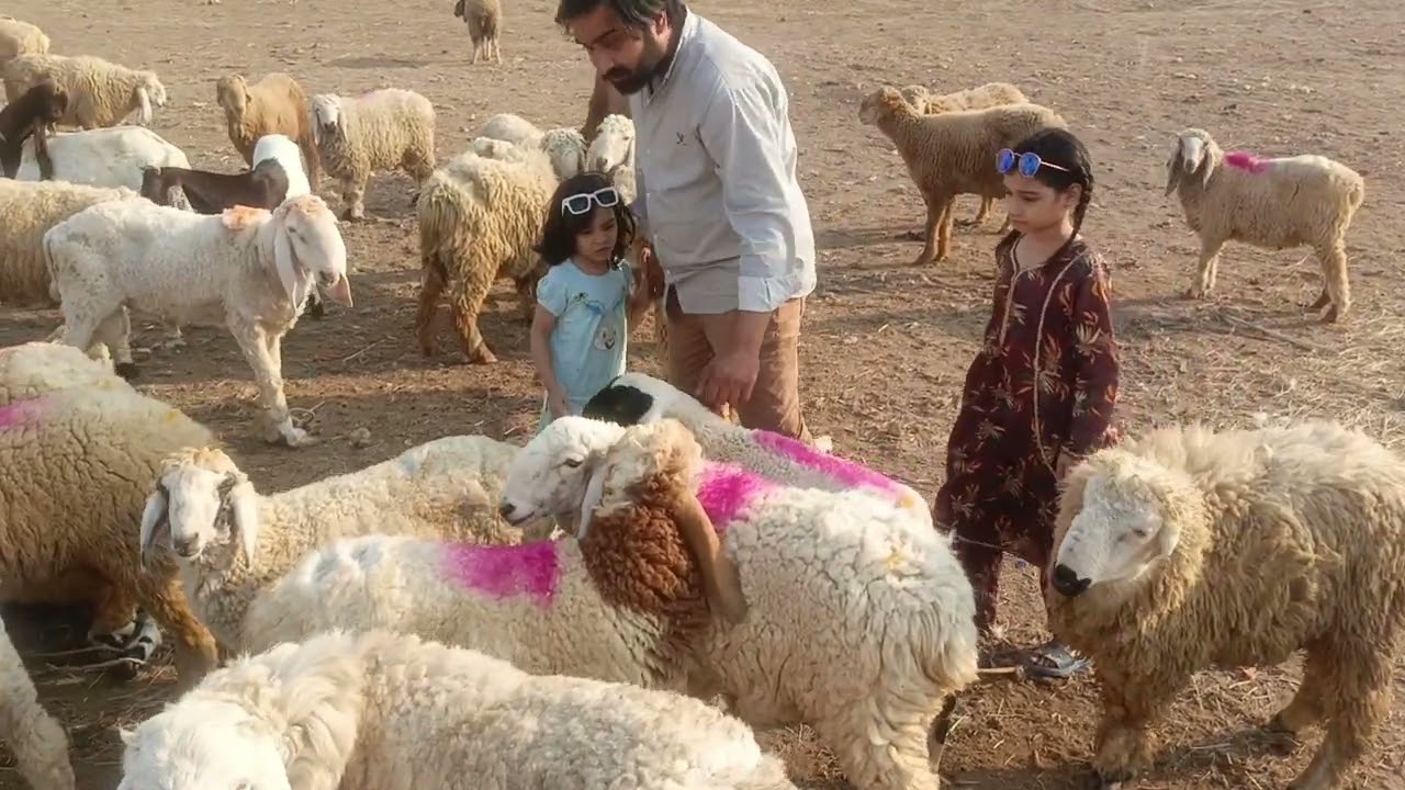 Hum late ho gya mandi k lya