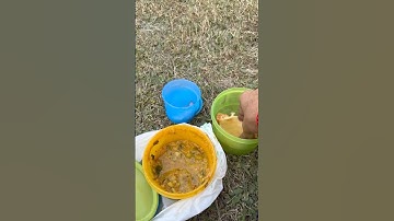 Pragya ne bheji hamare liye pav bhaji..#ccsu#explore#minivlog#dailyvlog#meerut#campus#shorts#hostel