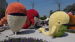 香港花卉展2023   陽光下的艷麗