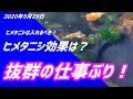 【ヒメタニシ効果は抜群！】金魚池やメダカ池、水槽などでも大活躍します！これは入れて損は無いですね～