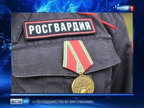 Владимир Пучков наградил участников ликвидации пожаров в Ростовской области