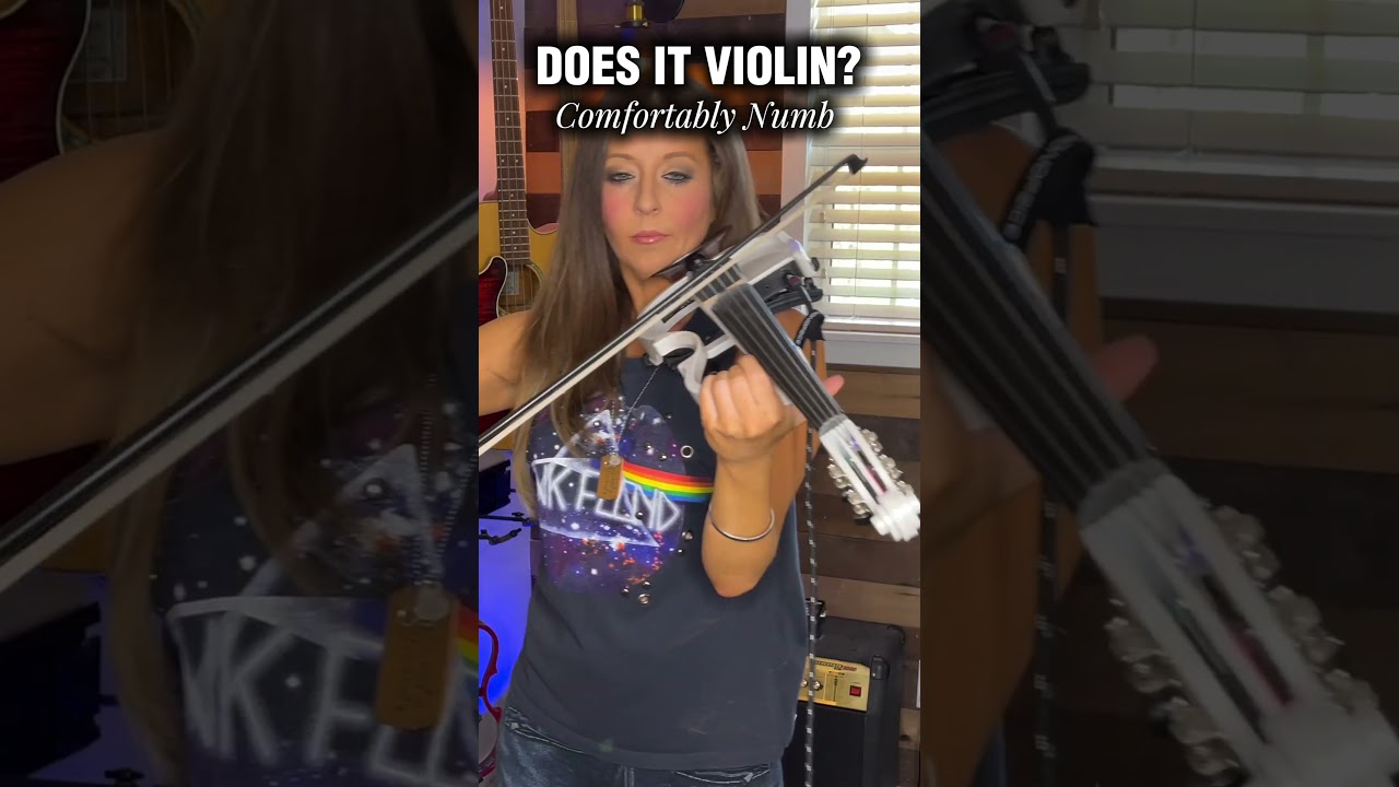 Does It Violin? | Pink Floyd – Comfortably Numb (David Gilmour Solo)