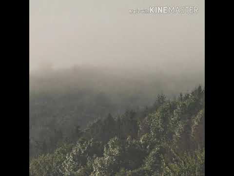 يامن يراني على ذنبي فيمهلني جد لي بعفوك ان الذنب اشقاني 