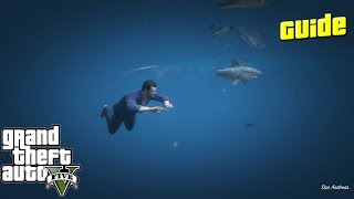 GTA 5 - How To Find The Sharks