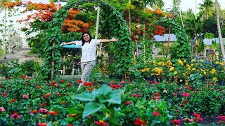 Pesona Taman Toblopo dengan Bunga Warna-warni Nan Indah. Tonton Videonya Yuk