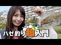 ハゼ釣り超入門。「身近で美味しい魚を釣ってみよう！」【釣りあそびジャーナル】