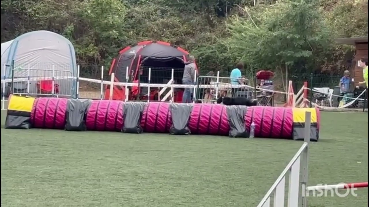 Link, agility competition, Sep 13th and 14th 2025