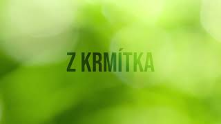 Co létá do krmítka?!🦉 //📷ZÁBĚRY Z FOTOPASTI📸// *noční tvor 🌑 Co létá do krmítka?!🦉 //📷ZÁBĚRY Z FOTOPASTI📸// *noční tvor 🌑