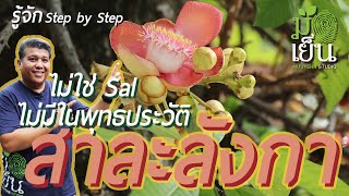 สาละลังกา ไม่ใช่ Sal ไม่มีในพุทธประวัติ