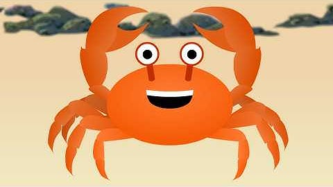 Crabs : Animated Music Video