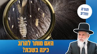 הרב זמיר כהן - האם מותר להרוג כינה בשבת?