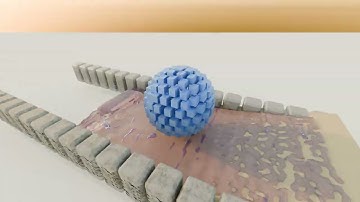 Twwi -  Wintmmer Breeze