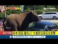 40歲警衛遭象 爆頭 踩車 毀屋 撞飛人 大家抓狂暴走全直擊 記者 李慧蘋 國際大現場 20171126 三立新聞台 40歲警衛遭象 爆頭 踩車 毀屋 撞飛人 大家抓狂暴走全直擊 記者 李慧蘋 國際大現場 20171126 三立新聞台
