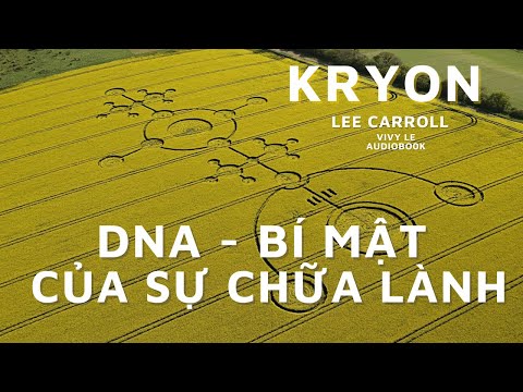 Video P.2 - KINH NGHIỆM CẬN TỬ - DNA Bí Mật Của Sự Tự Chữa... - youtube