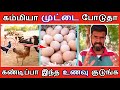 கோழிகள் அதிகமாக முட்டை போடுவதற்கு கண்டிப்பா இந்த உணவு குடுங்க  | TAMIL | GUNA NATTUKOZHI PANNAI