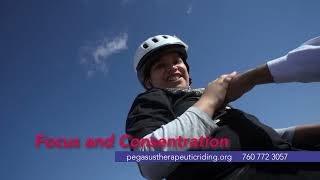 Pegasus Video Spotlight