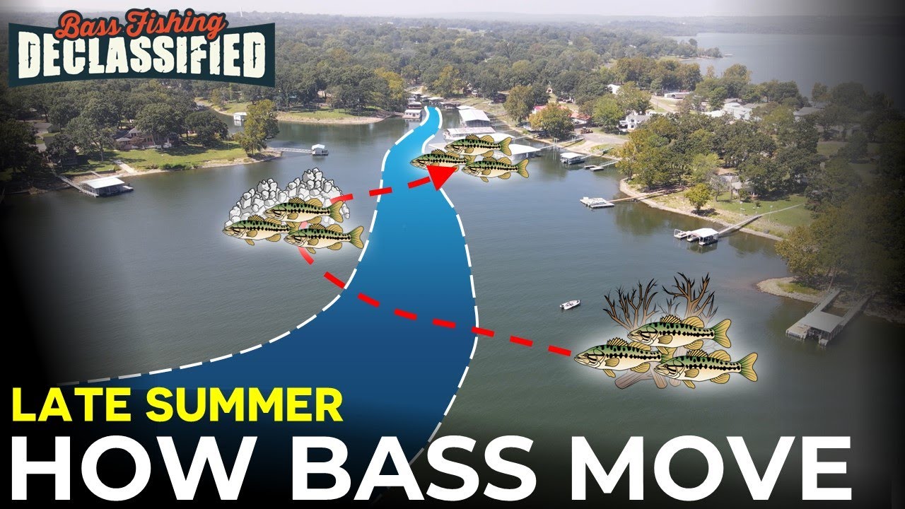 Stay Ahead of Late Summer Bass With This Simple Approach!