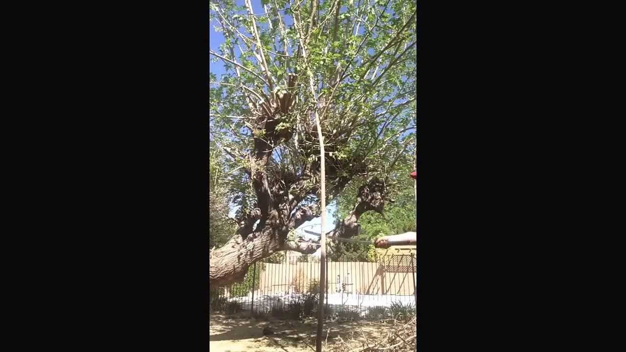 Ryansword T-10 clay tempered katana cut test.