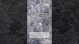Missing Survival Contestant Rescued by Police in State Forest