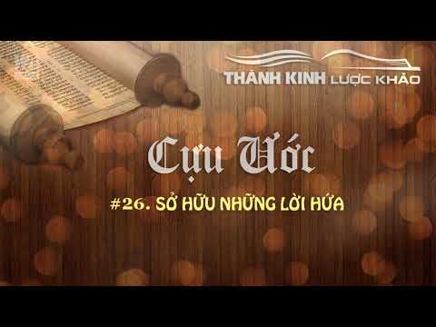 Video: Hình Bóng Lược