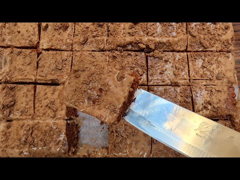 حلا يا جوزاء الجالكسي