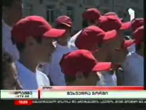 კონსტიტუციის მიღების დღე.wmv