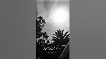 #ياسر_الدوسري #سورة_النساء #اكسبلور #cute #حالات_واتس #لايك