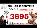 PALPITES PARA O DIA 21 DE MAIO DE 2026