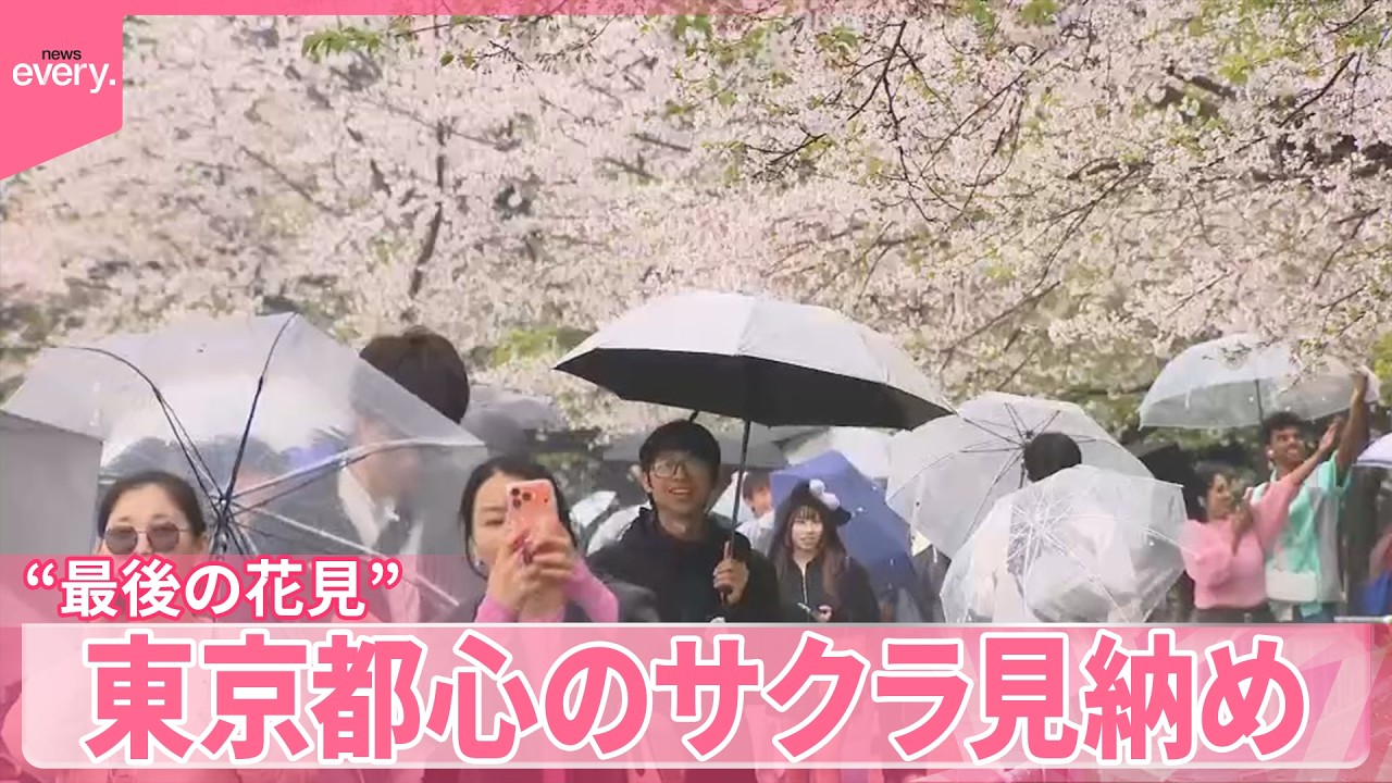 最後の花見”】上野公園にぎわう 東京都心に冷たい雨 - YouTube