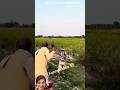 ताऊ ने पिला दी ऐसी ठंडी चीज़! 😂 | Wait For End 😱 #shorts #funny #reaction