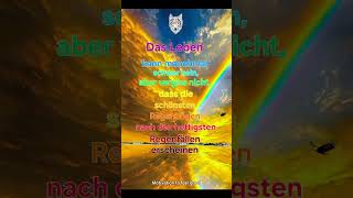 Das Leben.... #motivation #mindset #realfacts #behappy #feelgood #feelyourloveandinjoyyourlife
