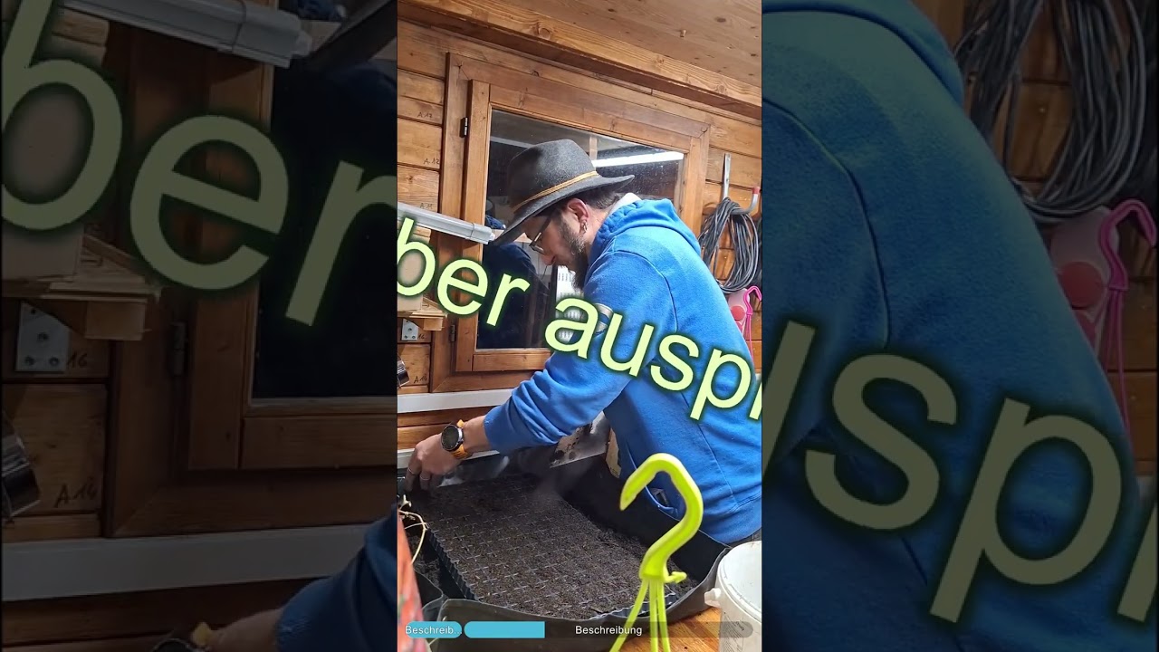 Vorbereitung jungpflanzen