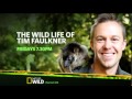 Nat Geo Wild Australia Adverts 02 June 2015 King Of TV Sat Nat Geo Wild Australia Adverts 02 June 2015 King Of TV Sat