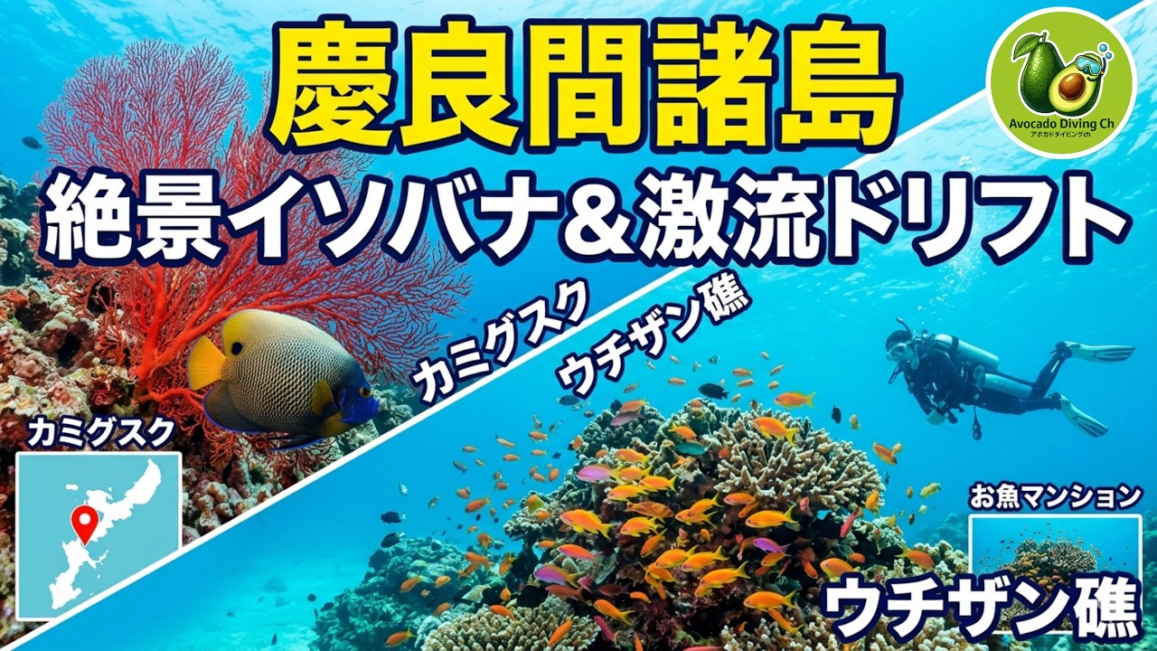 🥑沖縄・慶良間の海を飛ぶ。カミグスクの由来と、ウチザン礁の激流