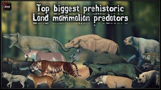 Top Biggest Mammalian Predators Size Comparison