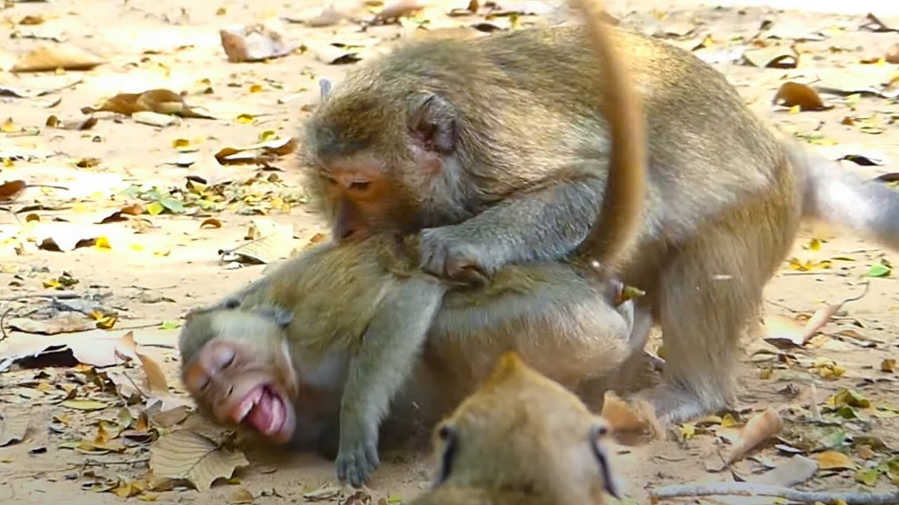 Brianna sitting by hungry food