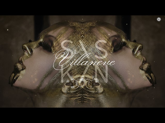 Siskin - Villaneve