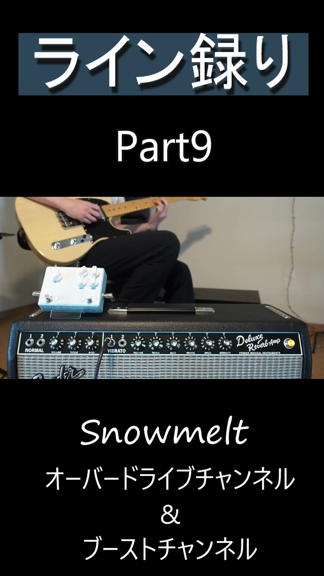 Tone Master Deluxe Reverbとオーバードライブ＆ブーストペダル
