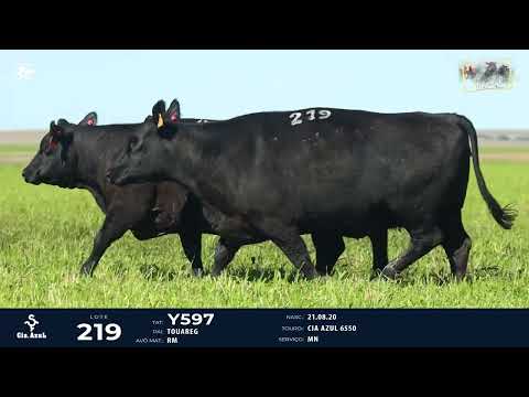 LOTE 219   TAT Y597, Z569 F Angus